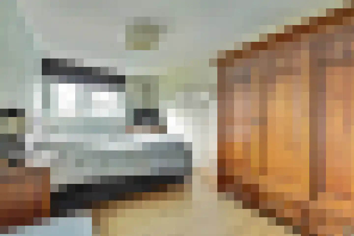 Akkerviool 85 Hendrik-Ido-Ambacht thumbnail 18