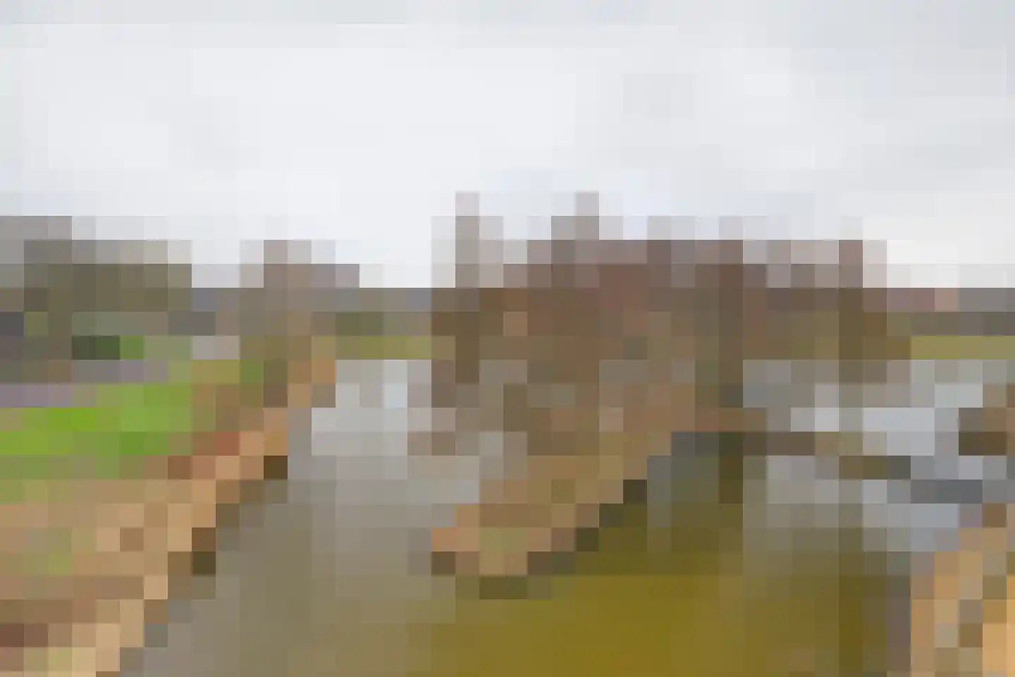 Akkerviool 85 Hendrik-Ido-Ambacht thumbnail 27