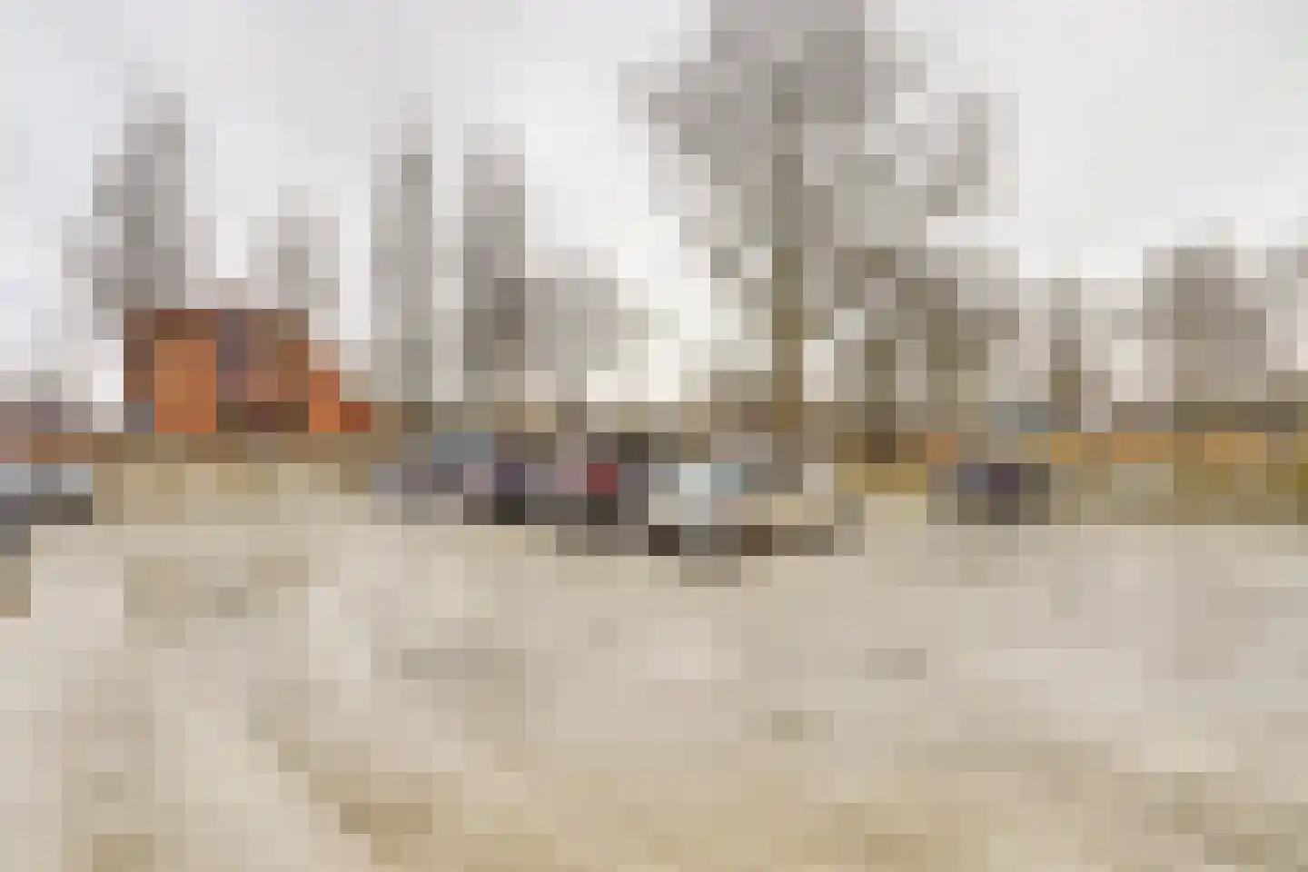 Akkerviool 85 Hendrik-Ido-Ambacht thumbnail 31
