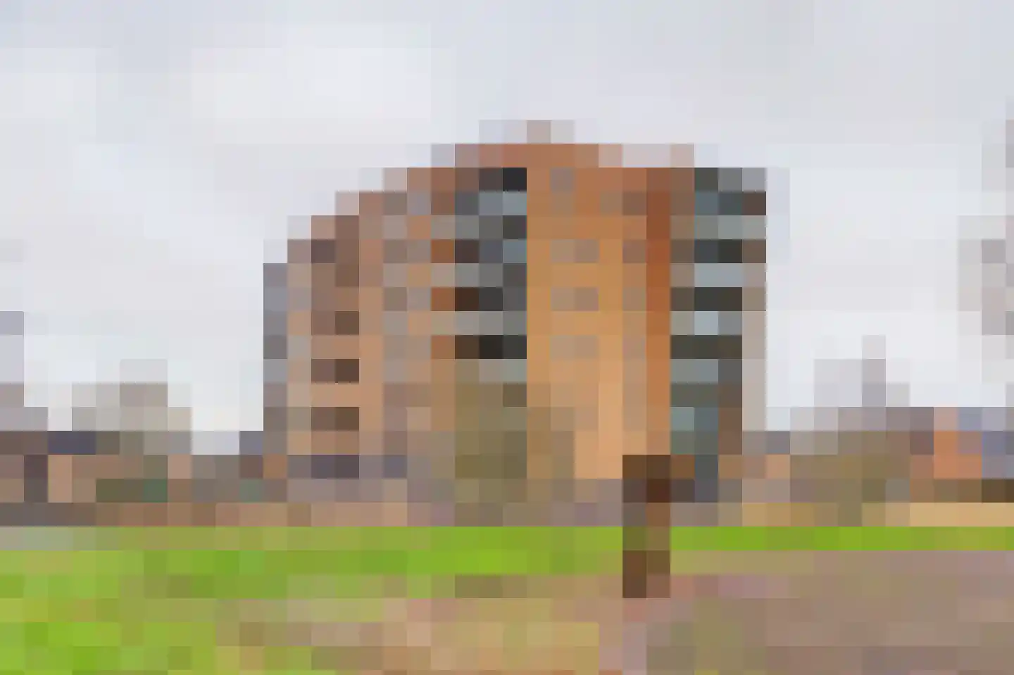 Akkerviool 85 Hendrik-Ido-Ambacht thumbnail 34