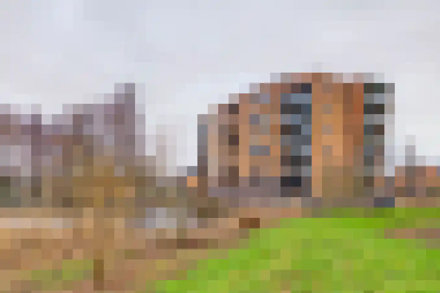 Akkerviool 85 Hendrik-Ido-Ambacht thumbnail 35
