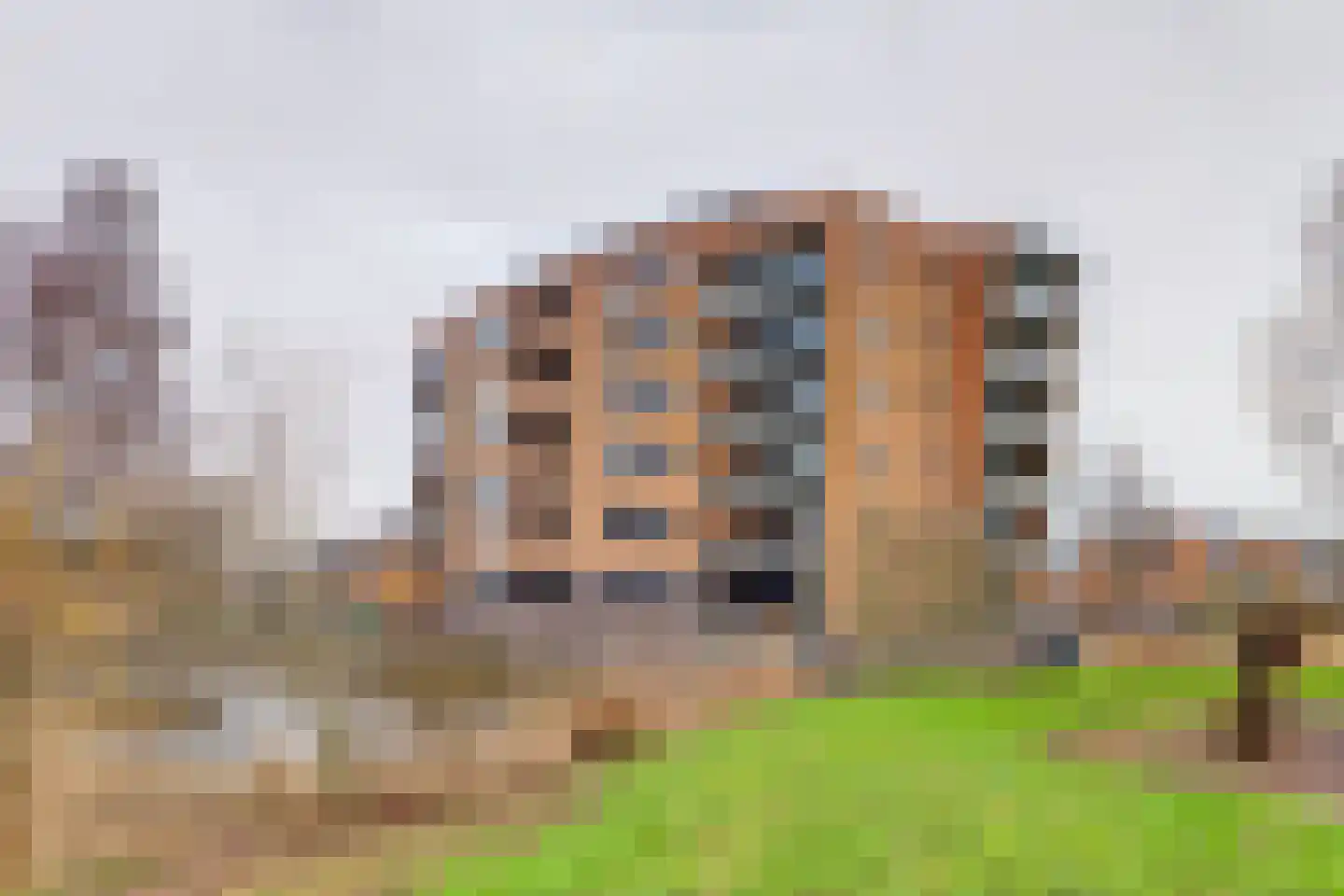 Akkerviool 85 Hendrik-Ido-Ambacht thumbnail 36