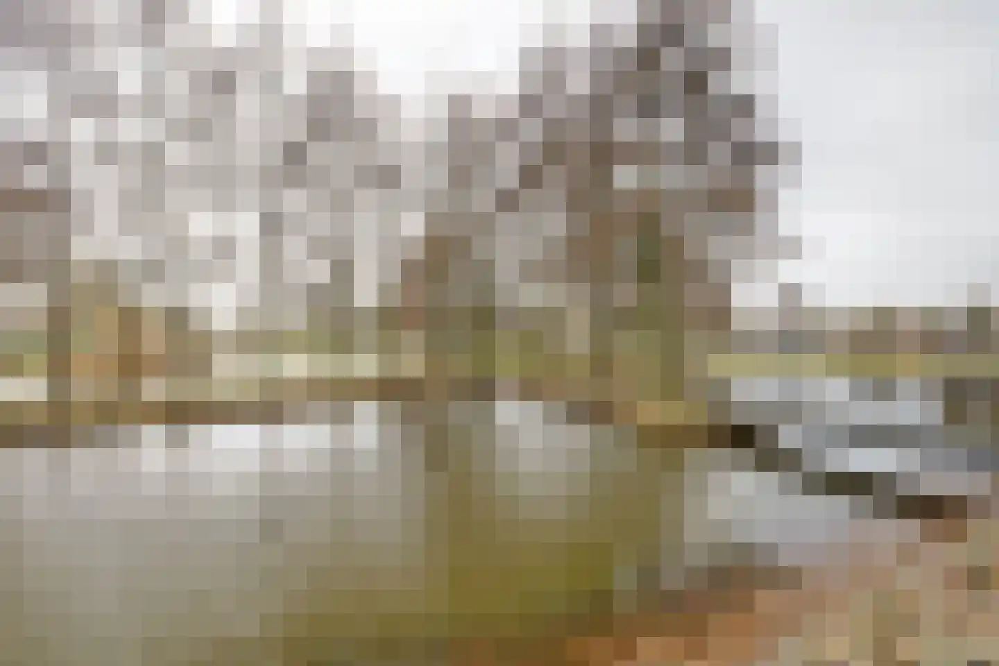 Akkerviool 85 Hendrik-Ido-Ambacht thumbnail 38
