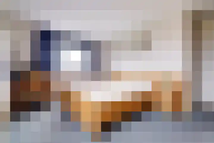 Akkerviool 89 Hendrik-Ido-Ambacht thumbnail 25