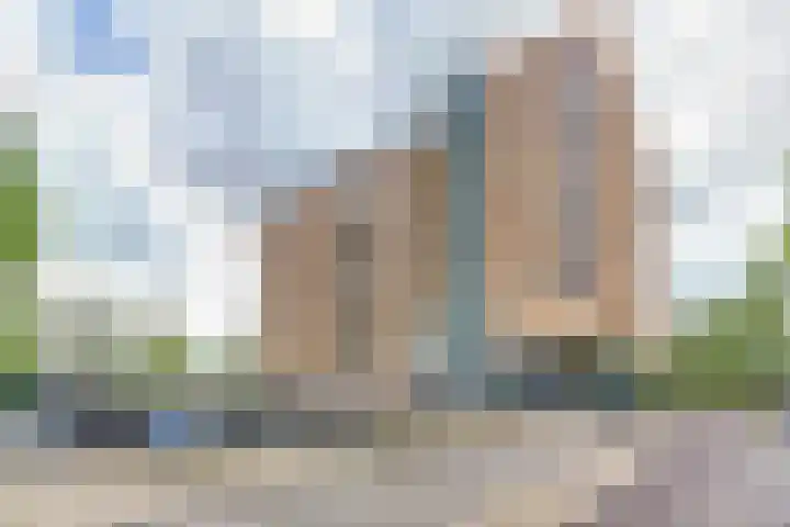 Akkerviool 89 Hendrik-Ido-Ambacht thumbnail 34