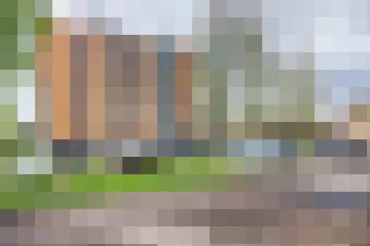 Akkerviool 89 Hendrik-Ido-Ambacht thumbnail 35