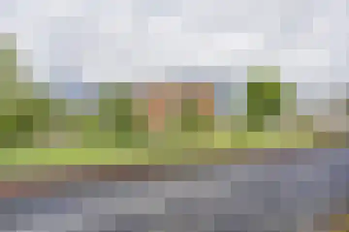 Akkerviool 89 Hendrik-Ido-Ambacht thumbnail 36