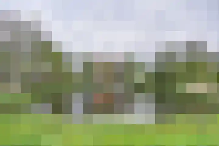 Akkerviool 89 Hendrik-Ido-Ambacht thumbnail 38