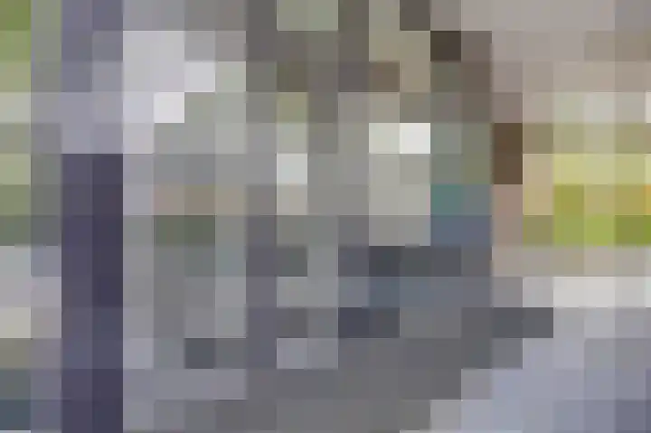 Akkerviool 89 Hendrik-Ido-Ambacht thumbnail 5