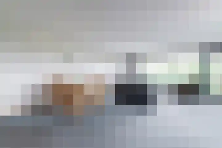 Akkerviool 89 Hendrik-Ido-Ambacht thumbnail 8