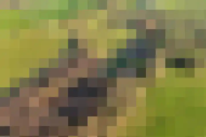 Akkerweg 1 Lemelerveld thumbnail 10