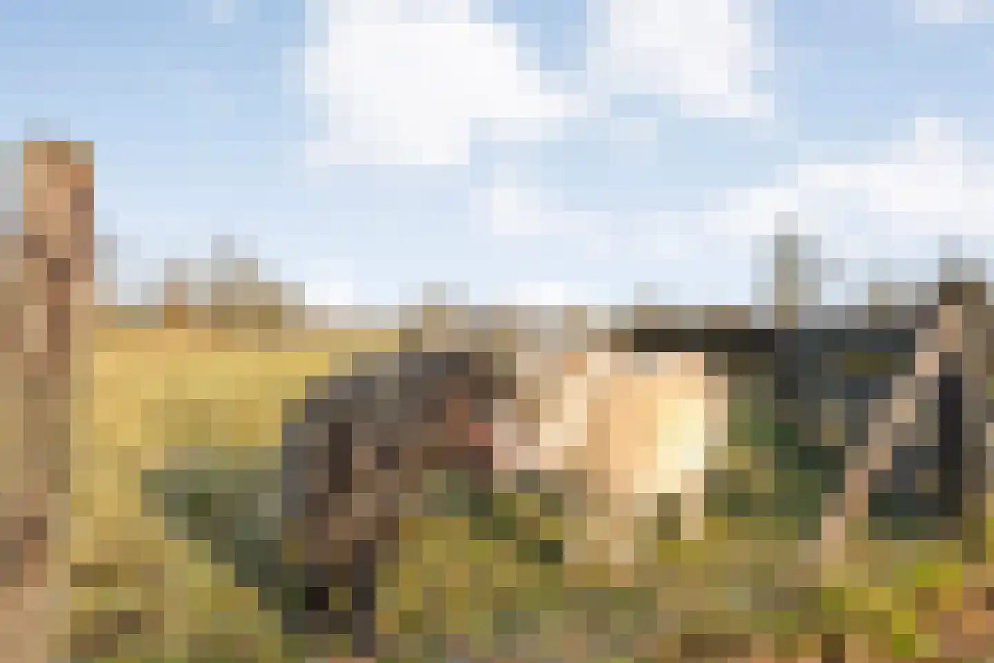 Akkerweg 1 Lemelerveld thumbnail 100