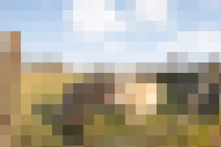 Akkerweg 1 Lemelerveld thumbnail 100