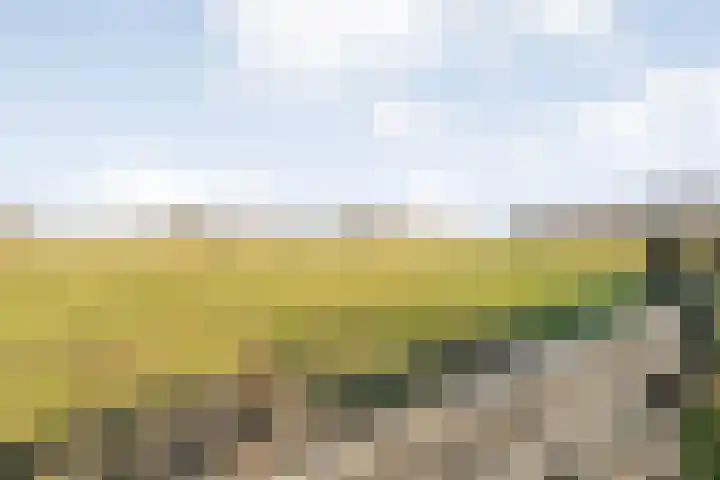 Akkerweg 1 Lemelerveld thumbnail 101
