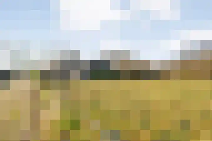 Akkerweg 1 Lemelerveld thumbnail 102