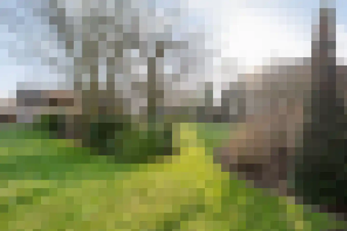 Akkerweg 1 Lemelerveld thumbnail 104