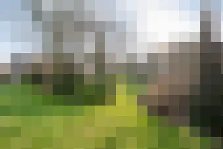 Akkerweg 1 Lemelerveld thumbnail 104