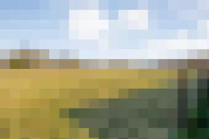 Akkerweg 1 Lemelerveld thumbnail 105