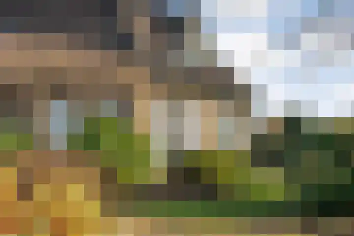 Akkerweg 1 Lemelerveld thumbnail 109