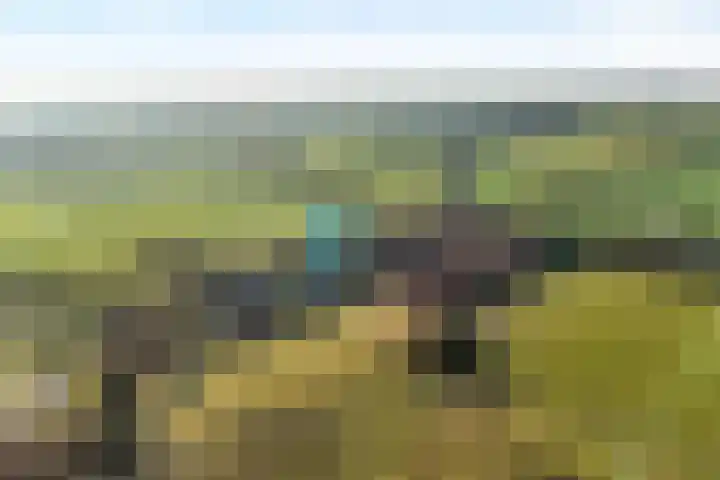 Akkerweg 1 Lemelerveld thumbnail 11