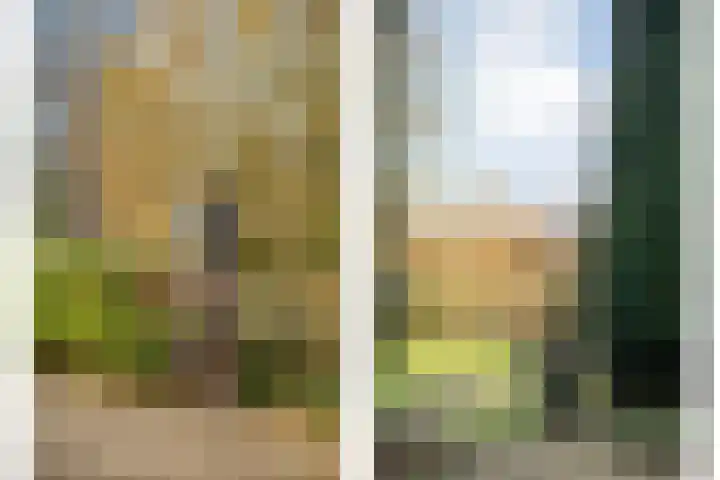 Akkerweg 1 Lemelerveld thumbnail 111