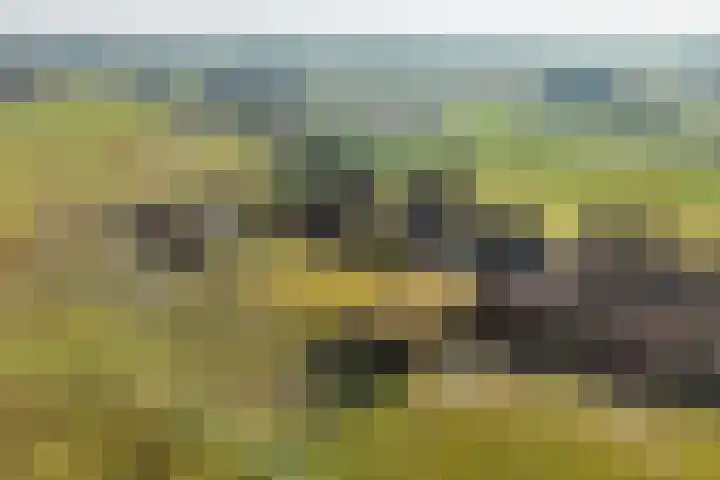 Akkerweg 1 Lemelerveld thumbnail 12
