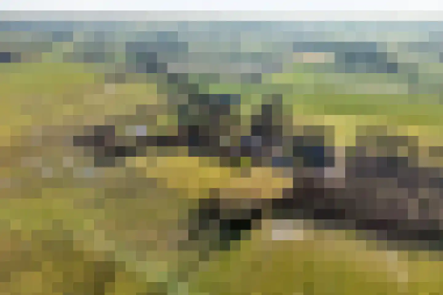 Akkerweg 1 Lemelerveld thumbnail 12
