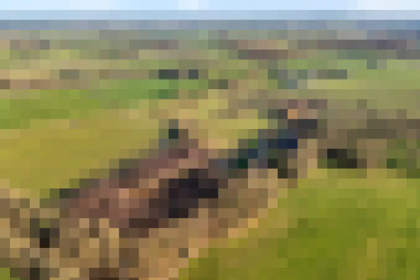 Akkerweg 1 Lemelerveld thumbnail 13