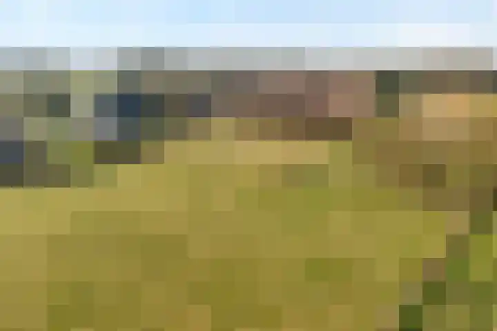 Akkerweg 1 Lemelerveld thumbnail 14
