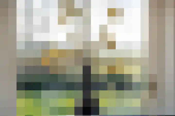 Akkerweg 1 Lemelerveld thumbnail 50