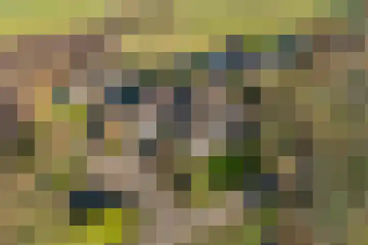 Akkerweg 1 Lemelerveld thumbnail 6