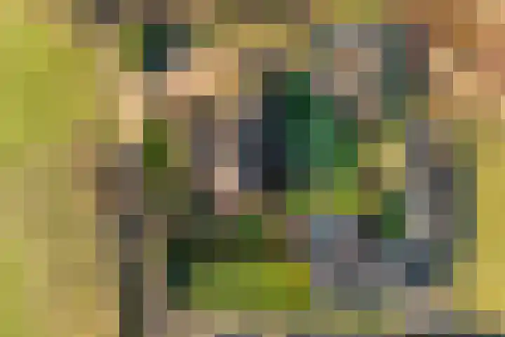 Akkerweg 1 Lemelerveld thumbnail 7