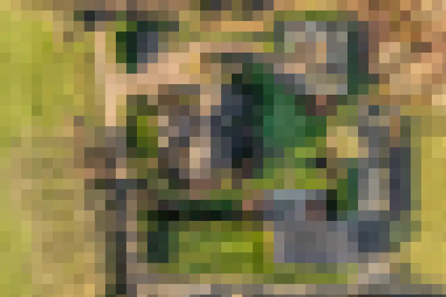 Akkerweg 1 Lemelerveld thumbnail 7