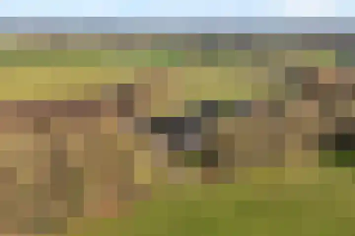 Akkerweg 1 Lemelerveld thumbnail 8
