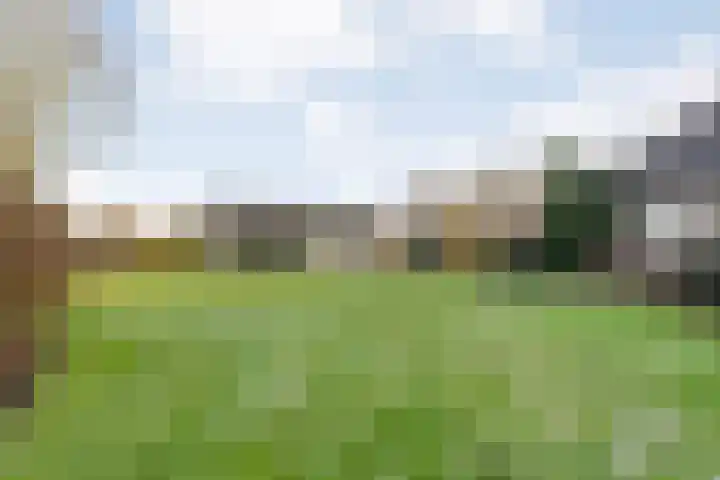 Akkerweg 1 Lemelerveld thumbnail 86