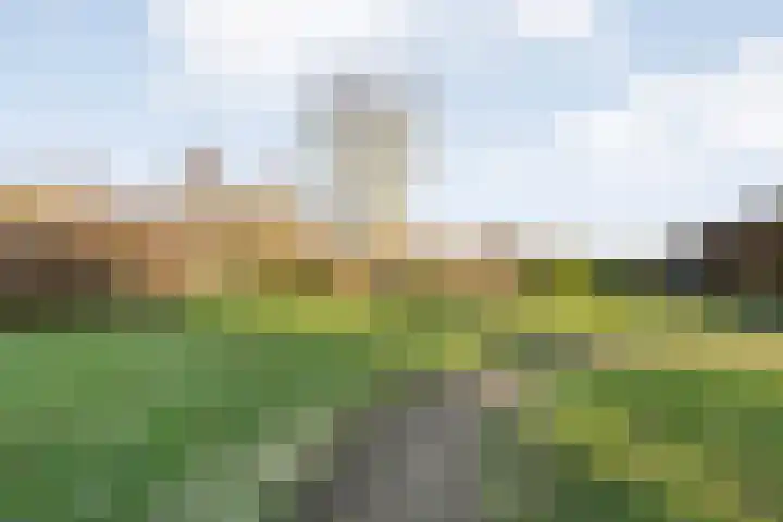 Akkerweg 1 Lemelerveld thumbnail 87