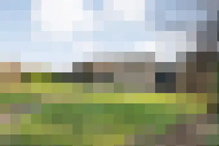 Akkerweg 1 Lemelerveld thumbnail 88