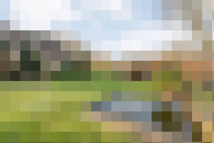Akkerweg 1 Lemelerveld thumbnail 89