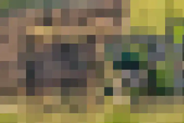 Akkerweg 1 Lemelerveld thumbnail 9