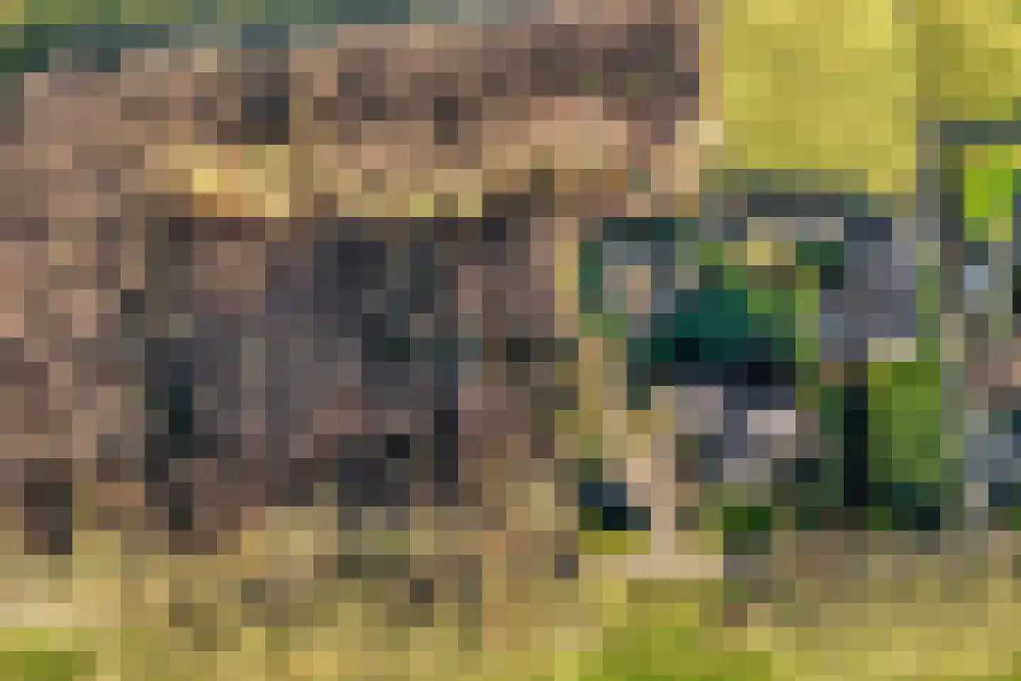 Akkerweg 1 Lemelerveld thumbnail 9