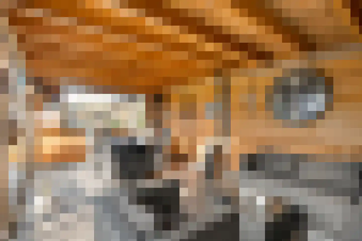 Akkerweg 1 Lemelerveld thumbnail 93