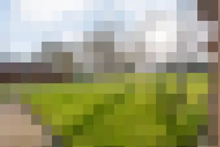 Akkerweg 1 Lemelerveld thumbnail 96