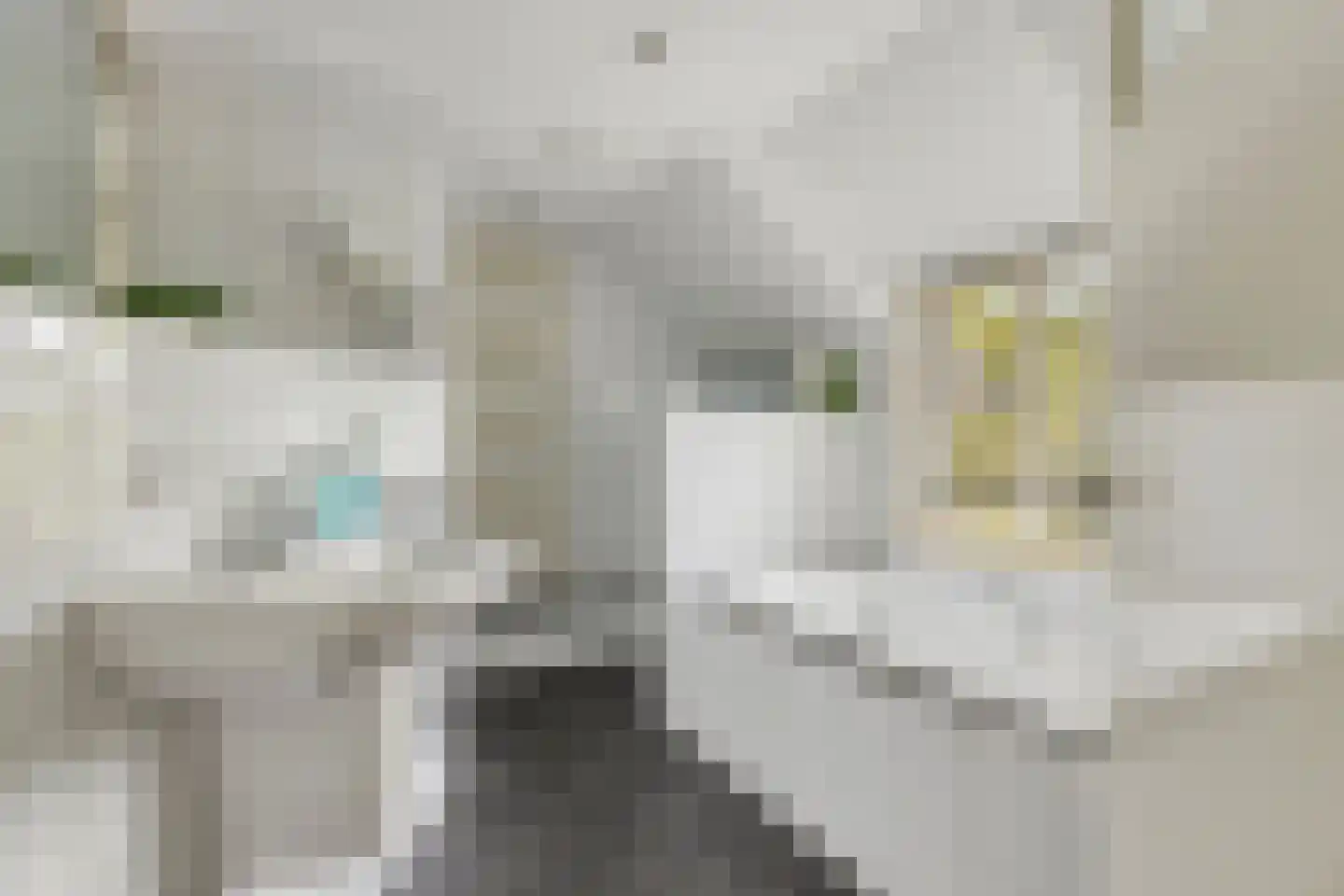 Akkerweg 1 Swolgen thumbnail 33