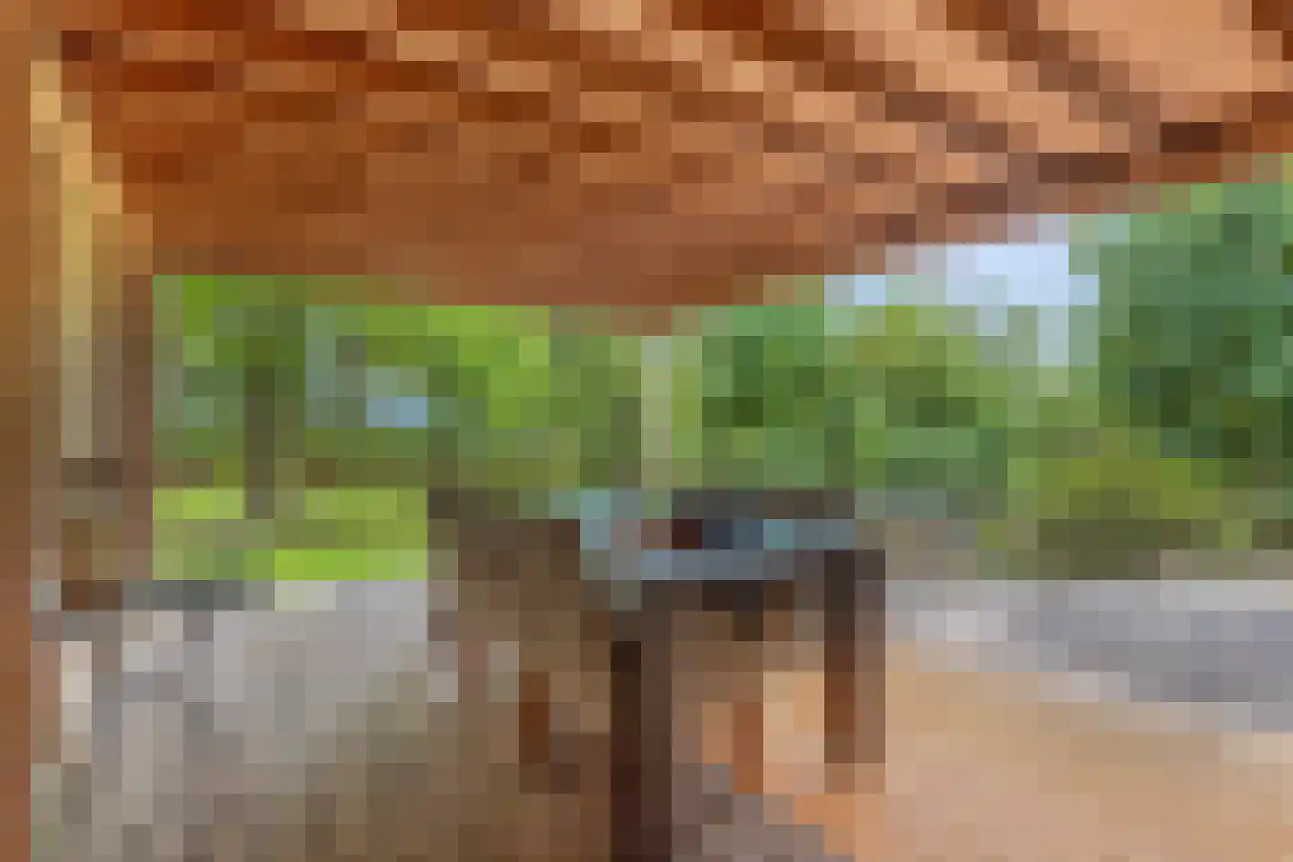 Akkerweg 1 Swolgen thumbnail 38