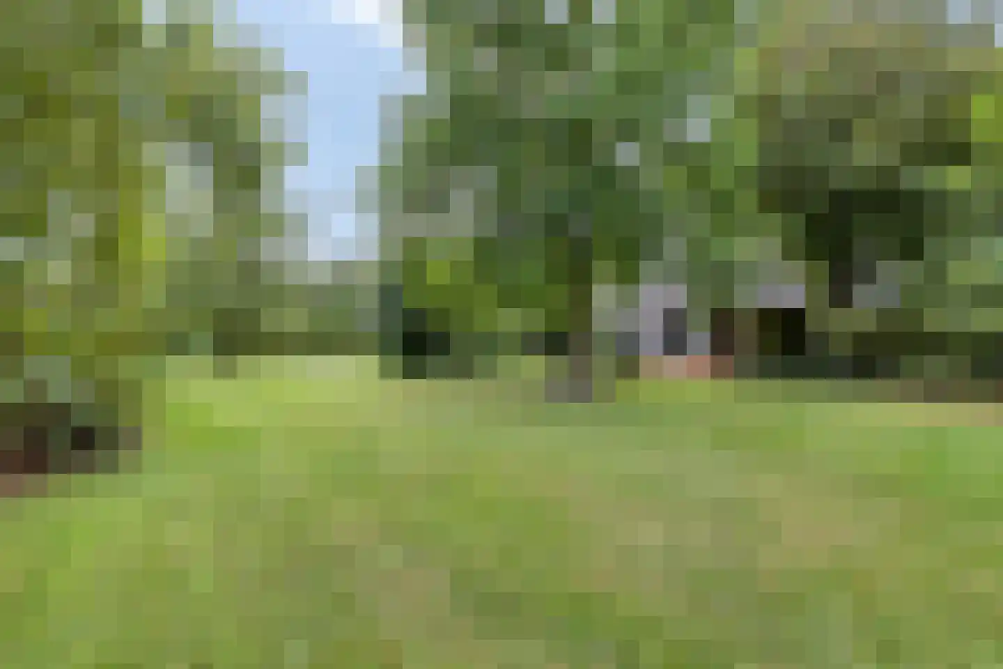 Akkerweg 1 Swolgen thumbnail 40