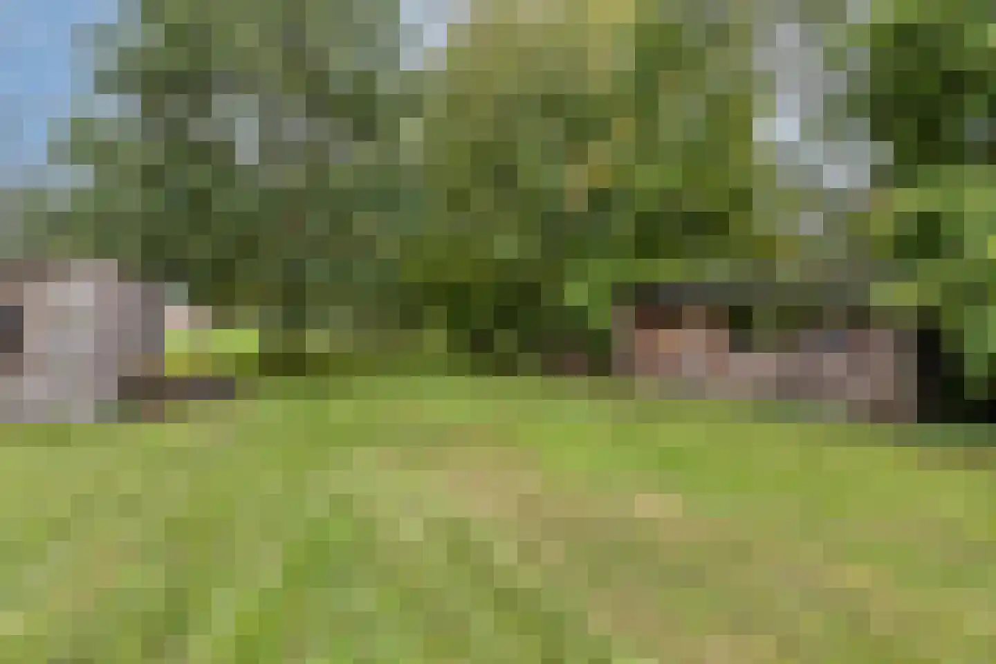 Akkerweg 1 Swolgen thumbnail 49
