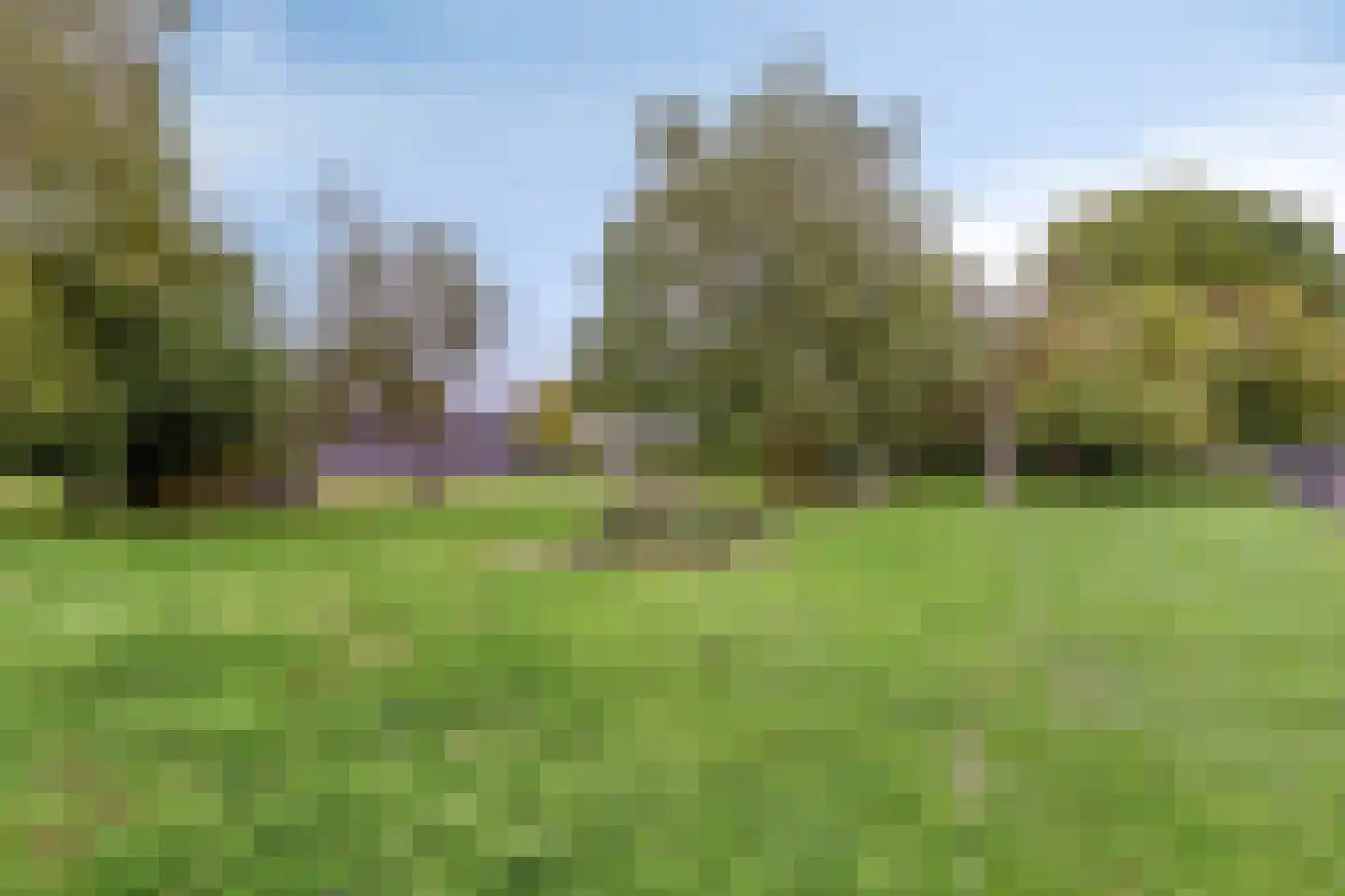 Akkerweg 1 Swolgen thumbnail 51