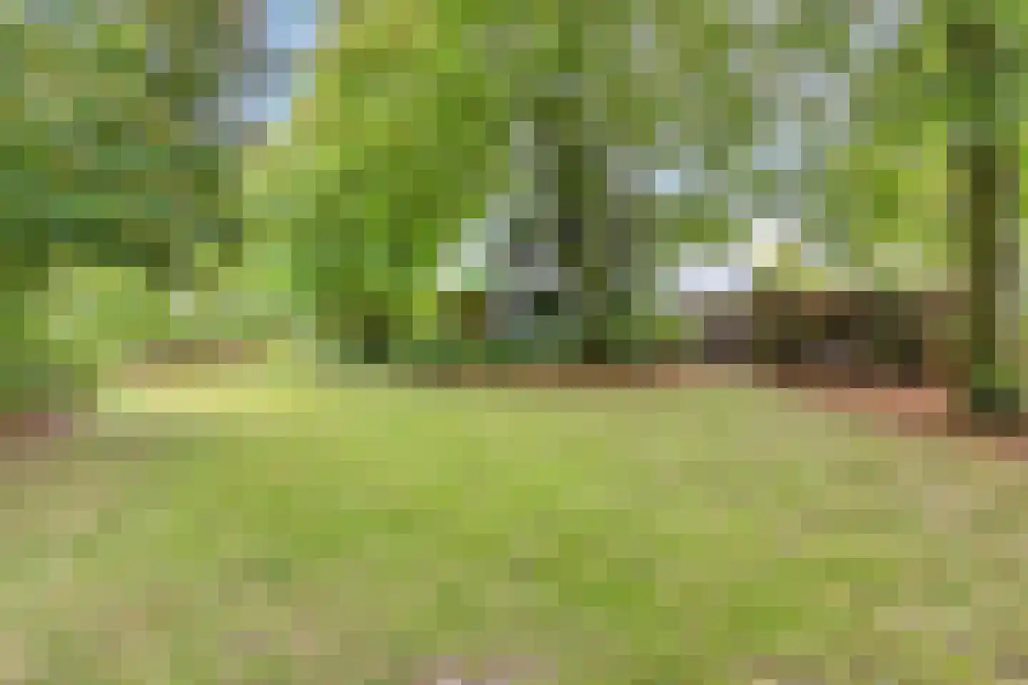 Akkerweg 1 Swolgen thumbnail 55
