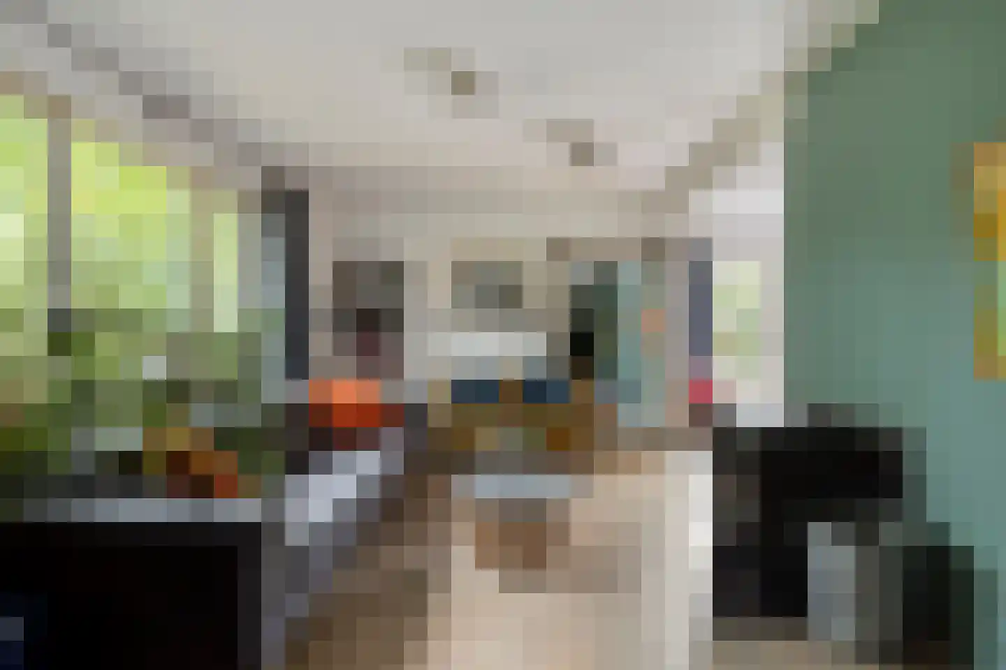Akkerweg 1 Swolgen thumbnail 9