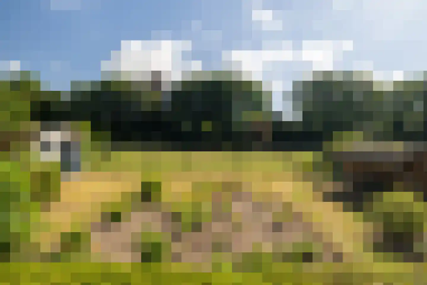 Akkerweg 11 Hulshorst thumbnail 11